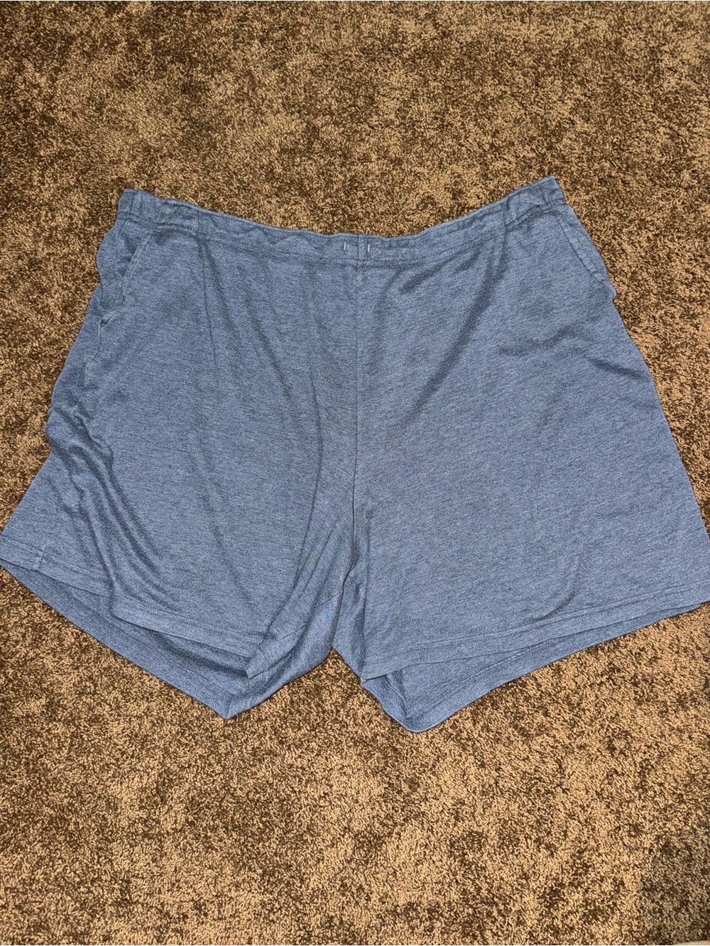 Women’s Woman Within Sweatshorts